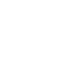 PPC-automateiconwhite
