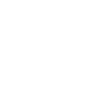PPC-budgeticonwhite